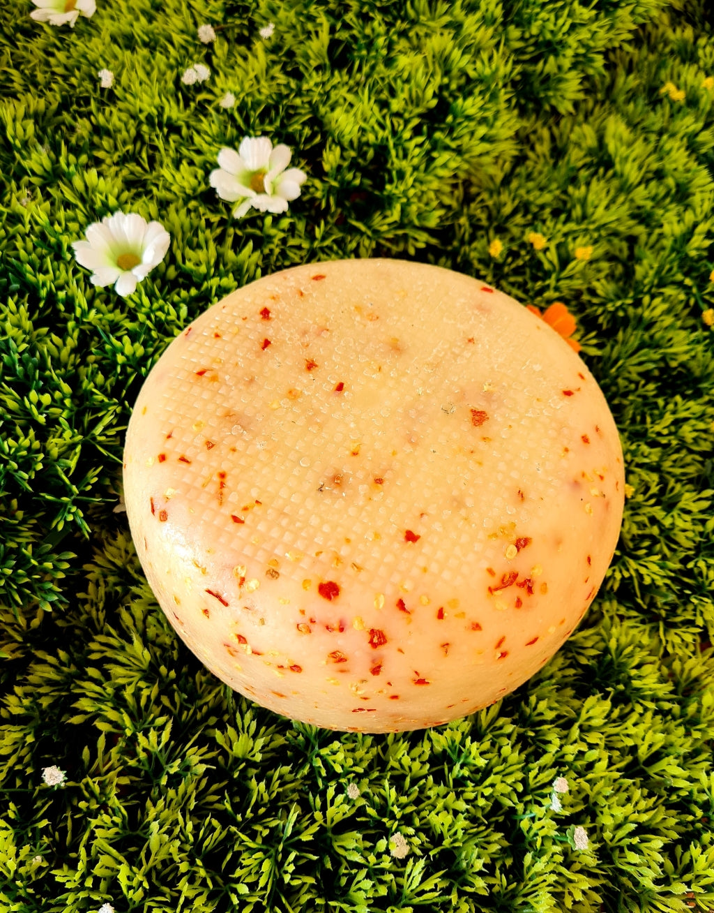 FORMAGGIO AL PEPERONCINO forma intera o trancio