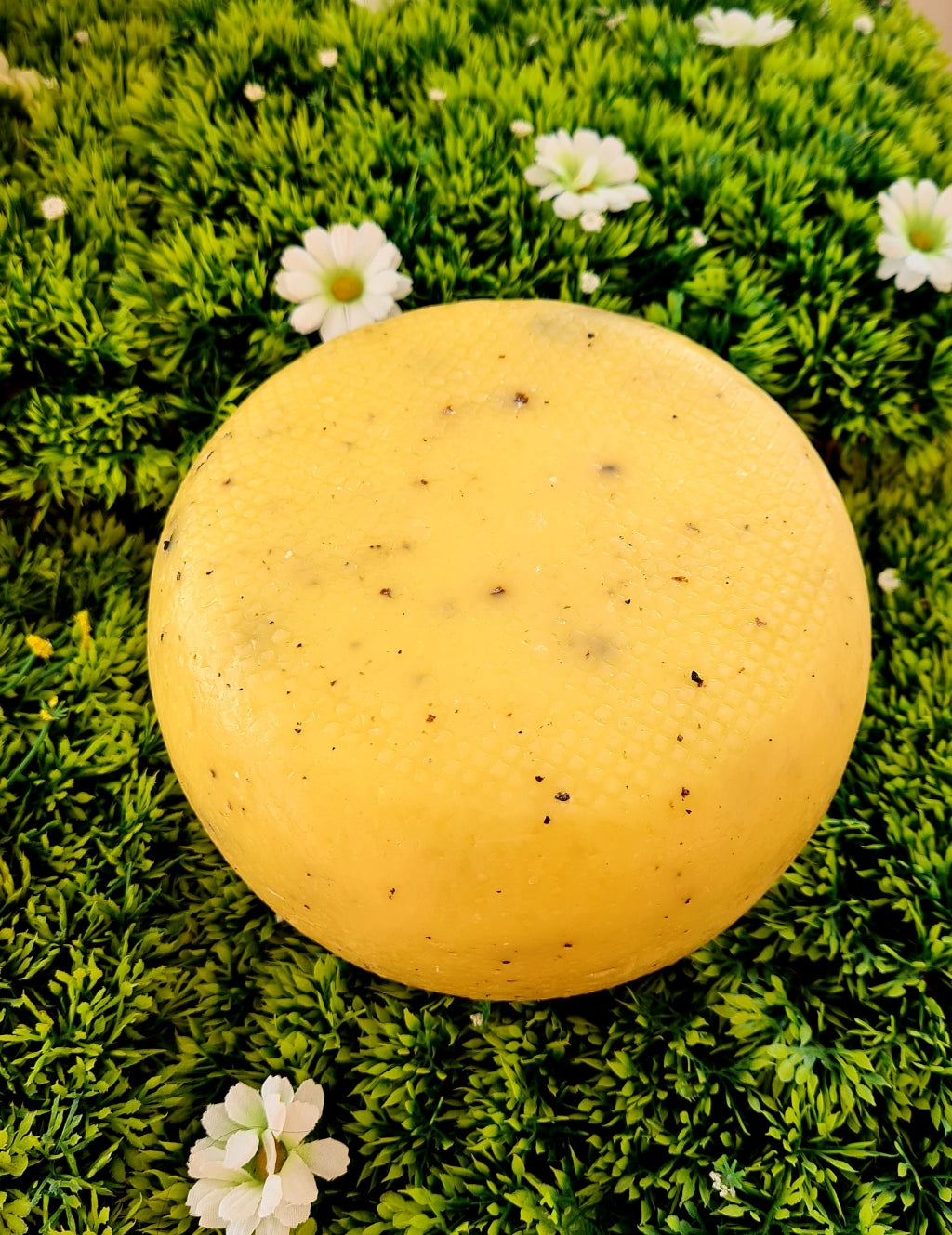 FORMAGGIO AL TARTUFO