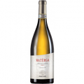Materga VERDICCHIO DI MATELICA RISERVA DOCG Cantina Provima Matelica